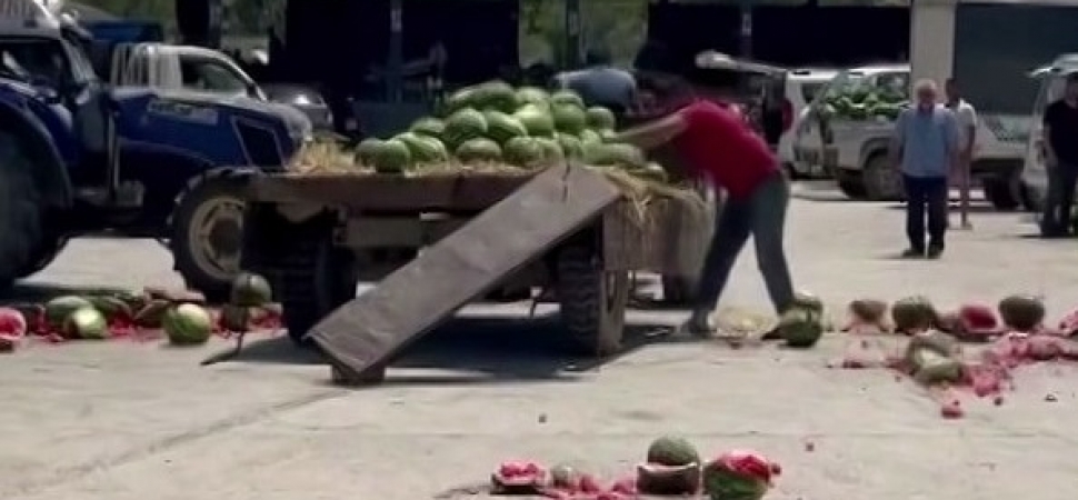 Karpuz para etmeyen çiftçi çileden çıktı!