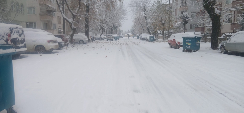 Sakarya Yeni Yıla Karla Uyandı