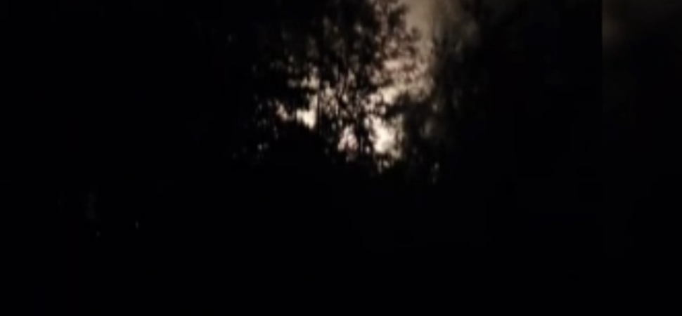 Akyazı'daki orman yangını sonrası 1 tutuklama kararı